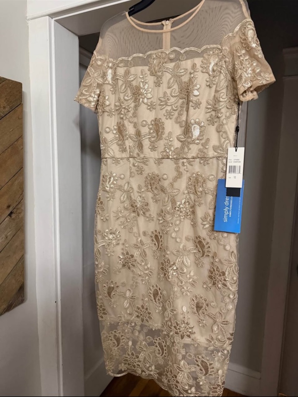 JAX Black Label Embroidered Lace Midi Dress in Champagne